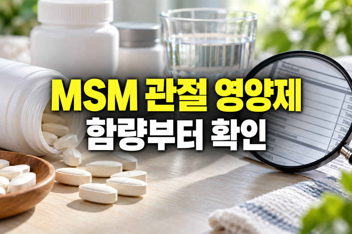 MSM 관절 영양제 함량부터 확인