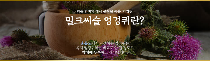 마가목 제품 고르는 법 밀크씨슬(엉겅퀴) 식물 소개 이미지