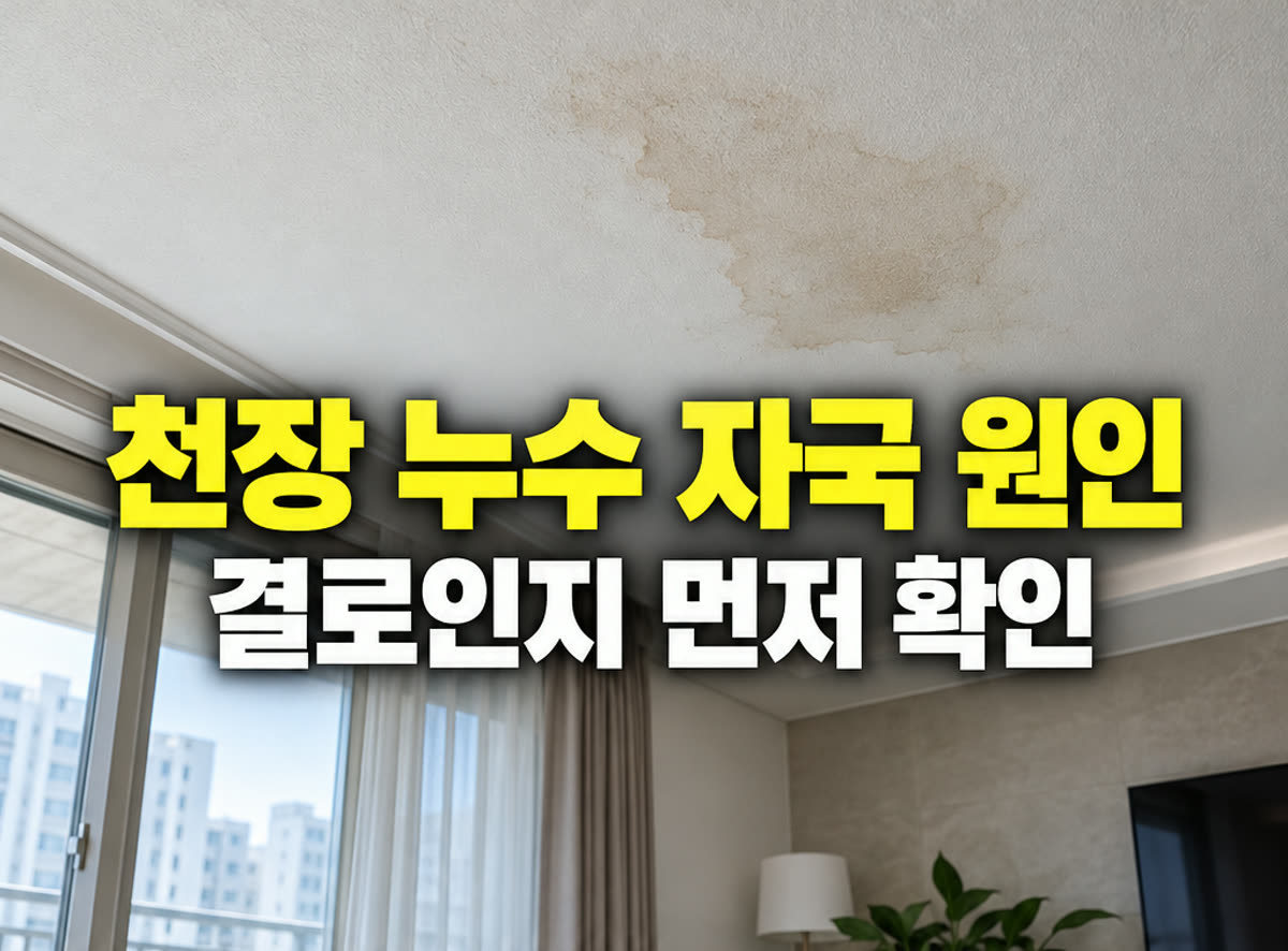 천장 누수 자국 원인 결로인지 먼저 확인