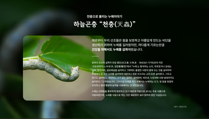 홍잠 누에 누에(천충) 자연 사진과 소개 문구