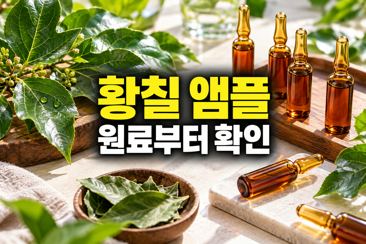 황칠 앰플 원료부터 확인