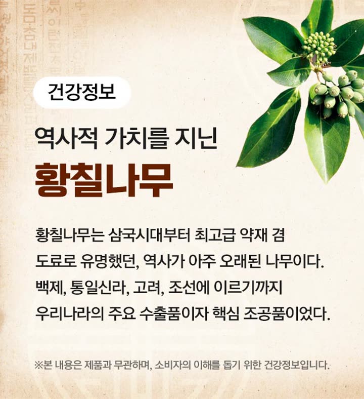 황칠 앰플 황칠나무 소개 건강정보 카드